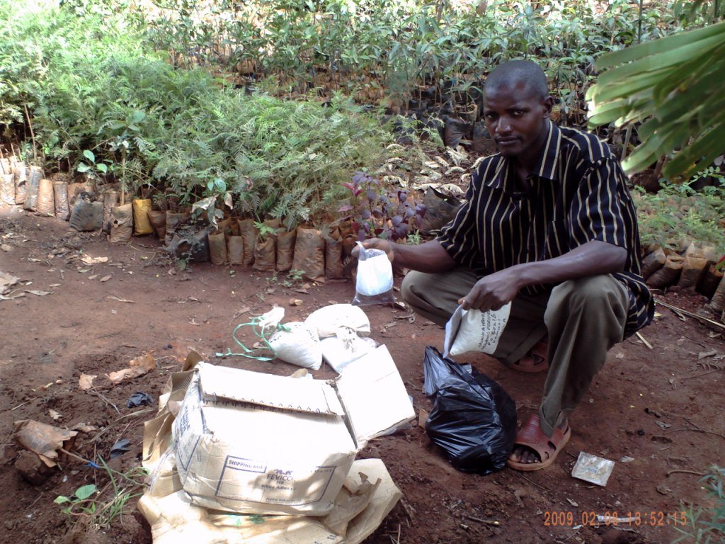 1 - 2 Million Trees a Year in Uganda's Countryside