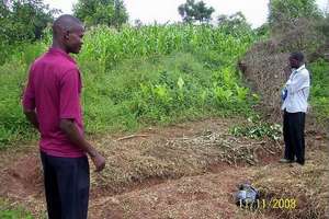 Our Pilot Agroforestry Project
