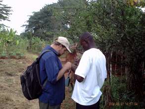 Native Tree Species Research