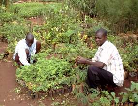 Farmer receiving saplings