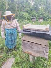 Bertha tending her bees