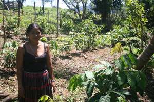 A local farmer shows her agroforestry plot.