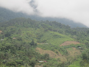 Landscape view of the area