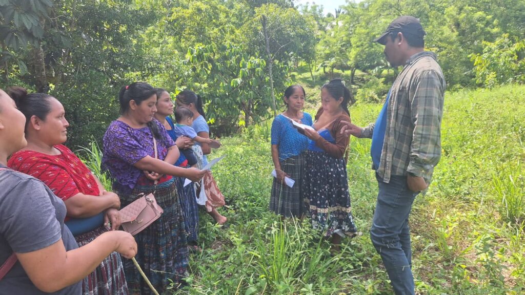 Promoting Sustainable Livelihoods in Guatemala