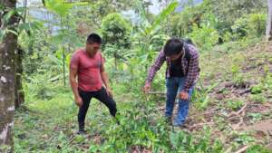 Technical Assistance