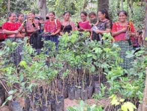 Promoting Sustainable Livelihoods in Guatemala