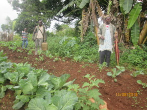 Partial view of an organic garden at Tabah