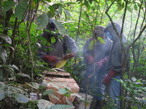 Honey harvesting demonstration