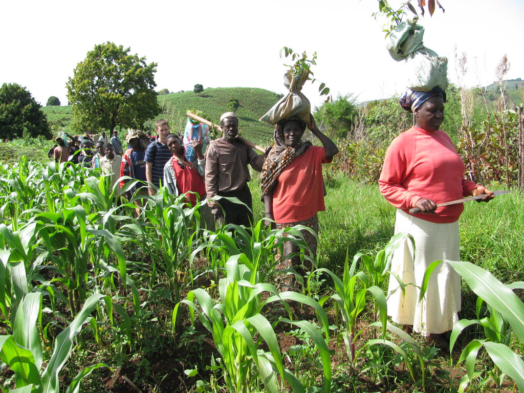 Establish agricultural training center in Cameroon
