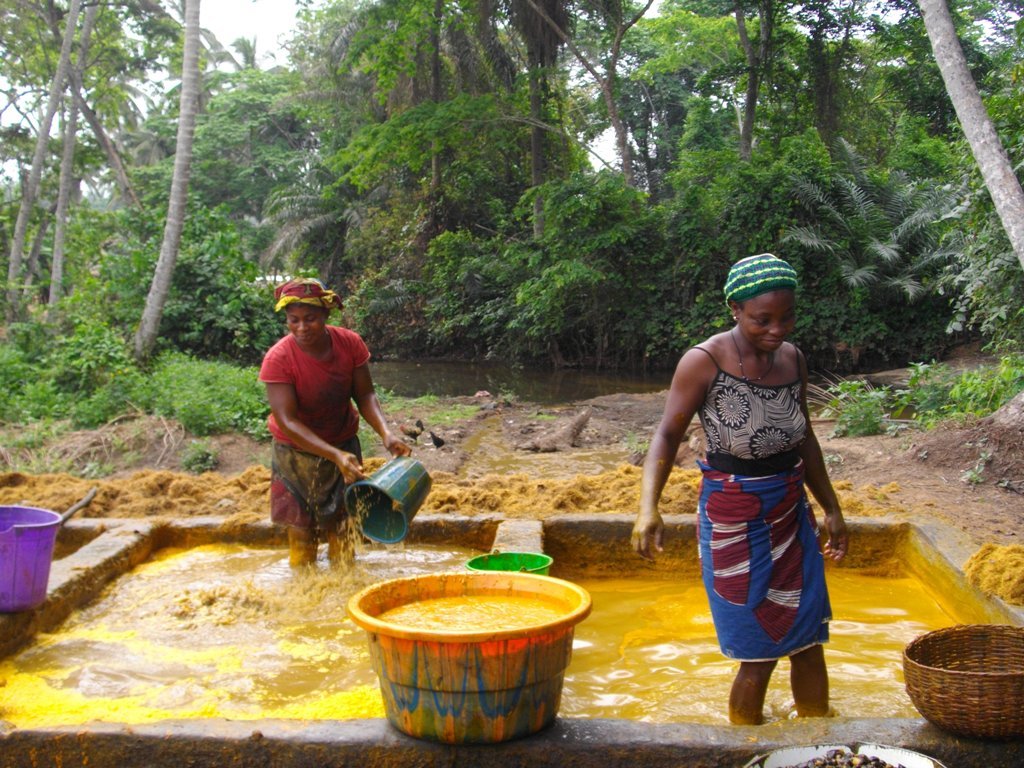 Rescue 3000 Aponmu Villagers from Schistosomiasis
