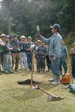 Showcasing reforestation techniques