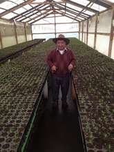 Don Augustin with his seedlings