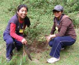 Local students helping in reforestation