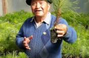 Community-led Reforestation in Totonicapan Forest