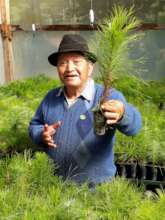 Community-led Reforestation in Totonicapan Forest