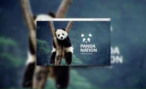 Sahar's branding for Panda Nation