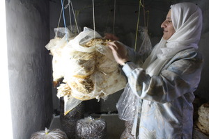 Entrepreneur, Ghada, shows off her mushrooms