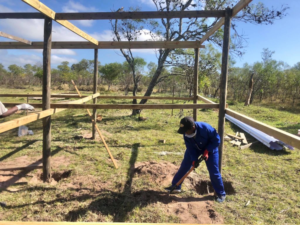 Work in progress...house building!