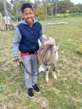 Therapeutic use of animals as part of our programs