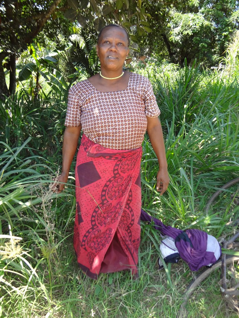 Beekeeping to Conserve Tanzania's Rainforest
