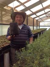 Don Agustin, Community Leader in Totonicapan