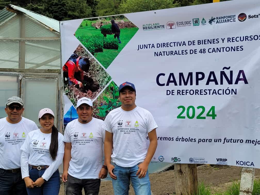 Reforestation campaign in Guatemala