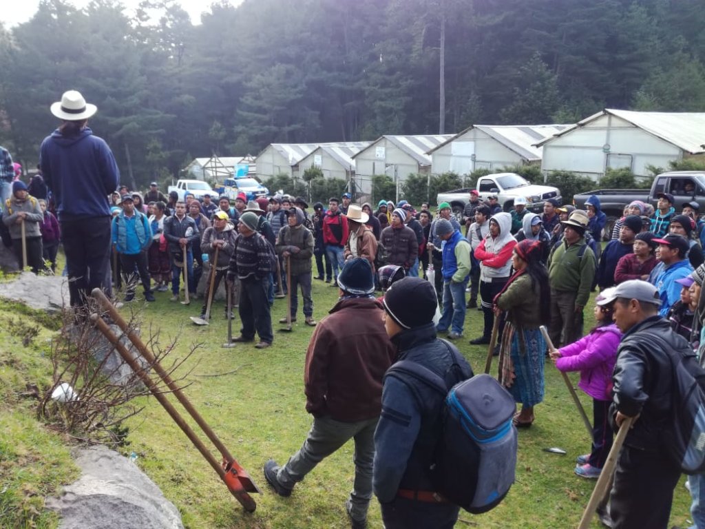 Community reforestation campaign 2019