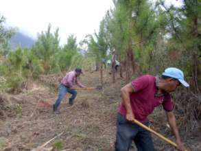 Creating firebreaks in Honduras