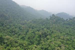 Forest monitoring in Oaxaca using drones
