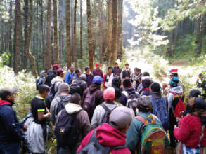 Community forest monitoring
