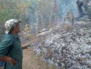 Monitoring and combating forest fires in Honduras