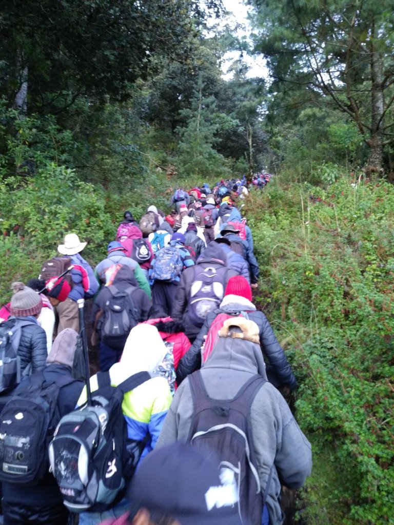 Community forest monitoring (2)