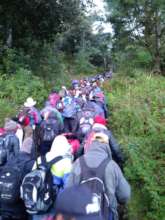 Community forest monitoring (2)
