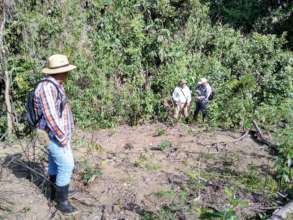 PROBOSQUE visit to ensure compliance with plan