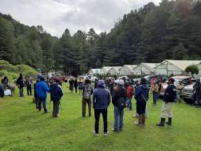 Community reforestation campaign in Totonicapan