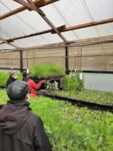 Community reforestation campaign in Totonicapan