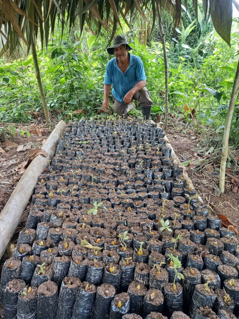 Community tree nurseries