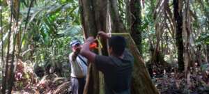 Conducting forest inventory with community brigade