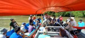 Getting ready for mangrove conservation plan