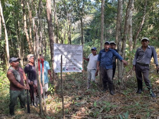 Train Forest Guards to Protect Guatemalan Forests