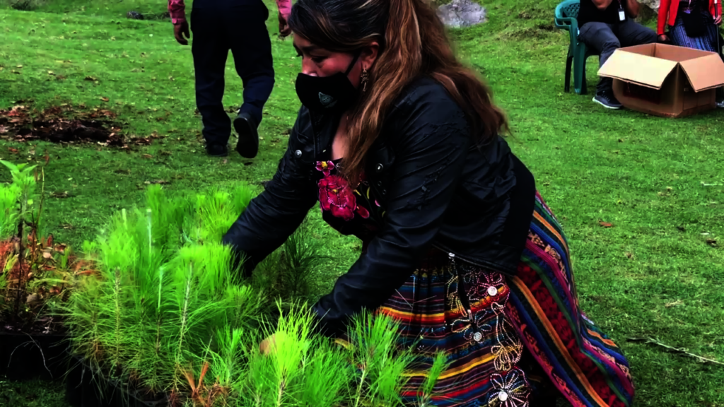 Natural Resource Delegate leading reforestation