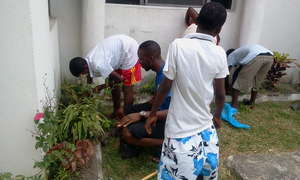 Tending the garden with friends