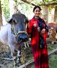 Om Mina and her cow