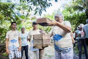 Peabiru's Beekeeping project