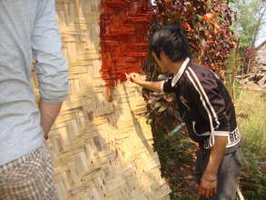 Painting to prevent insect destruction