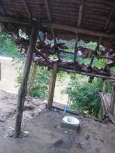 Only thing left in this house