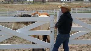 John Nash with therapy horse on Moon Fall Ranch