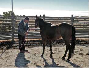 John Nash, Combat Veterans Cowboy Up