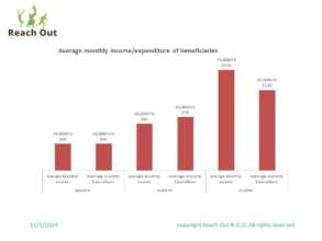Average monthly income/expenditure