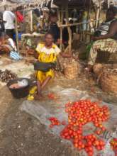 Melvis during market day